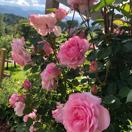Apartma Rosa Spodnji Otok Exterior foto